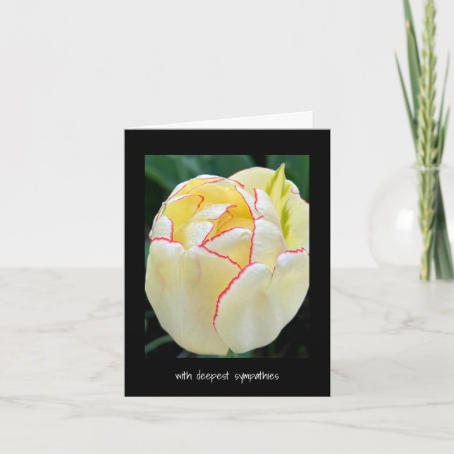With deepest sympathies - Red tipped Yellow tulip  Card (Front)