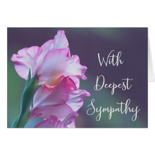 With deepest sympathy Gladiolus