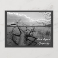 With deepest Sympathy