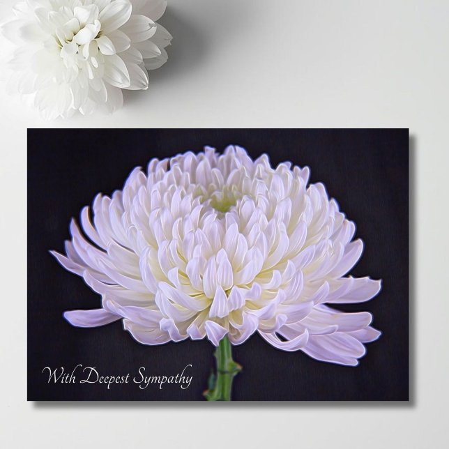 With Deepest Sympathy White Chrysanthemum Card (Creator Uploaded)