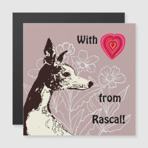 With love from your Whippet