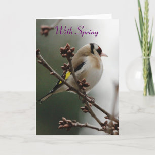 With Spring Greeting Card