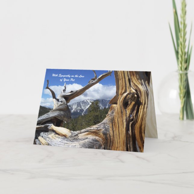 With Sympathy Loss of Pet Mountain Thru Tree Card (Front)