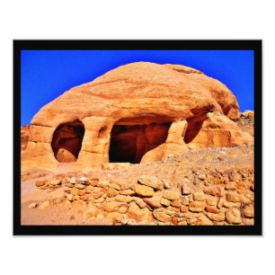 Withered Abode Photo Print