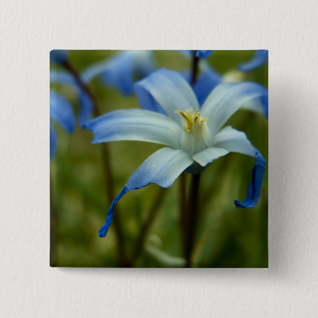 witherly 15 cm square badge (Front)