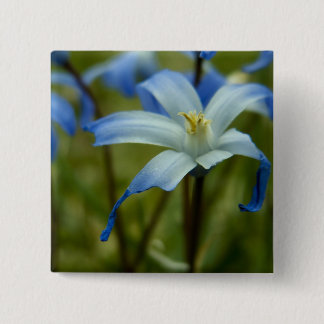 witherly 15 cm square badge