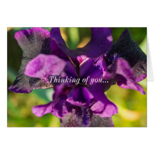 Within An Iris Thinking Of You Card
