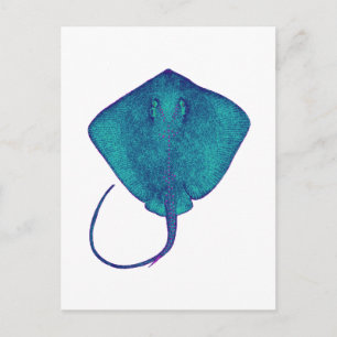 WITHIN THE BLUE POSTCARD