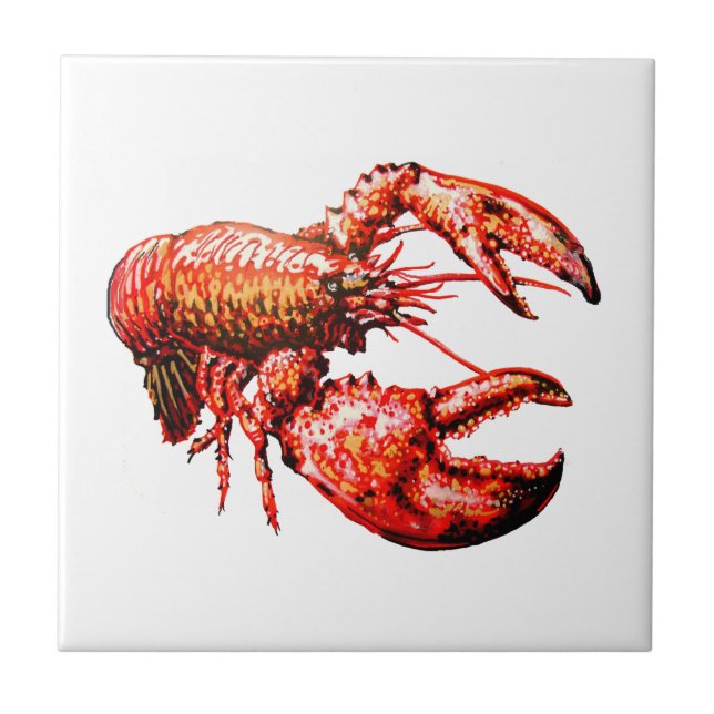 WITHIN THE CLAWS TILE (Front)