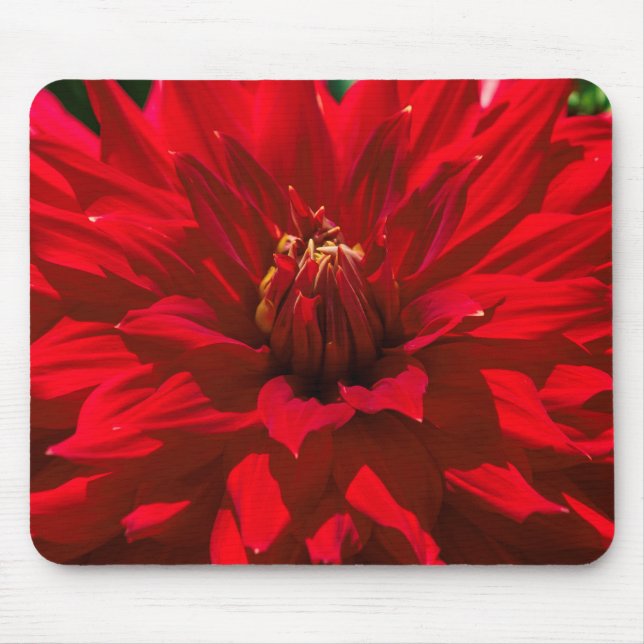Within The Dahlia Garden 2 Mouse Pad (Front)