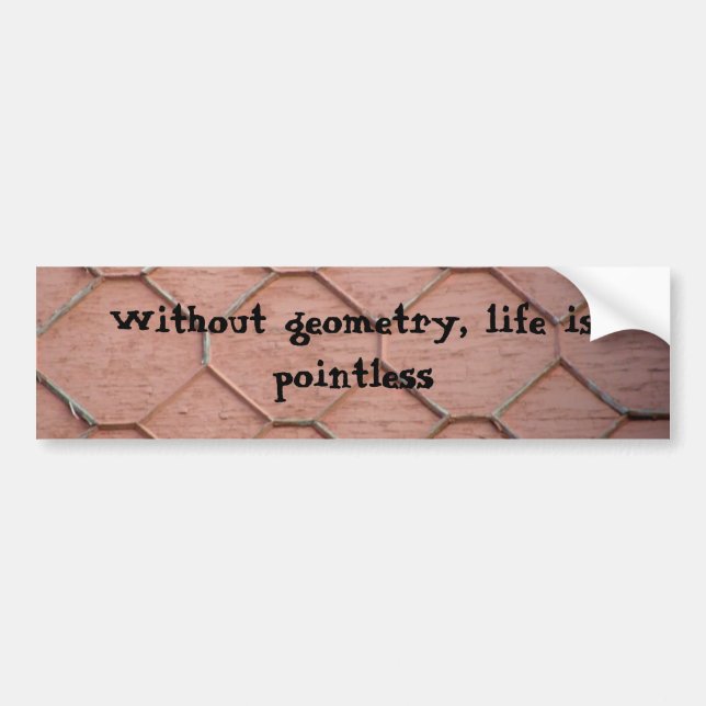 Without geometry, life is pointless bumper sticker (Front)