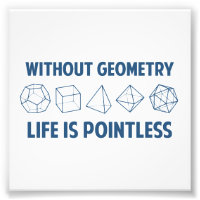 Without Geometry Life Is Pointless