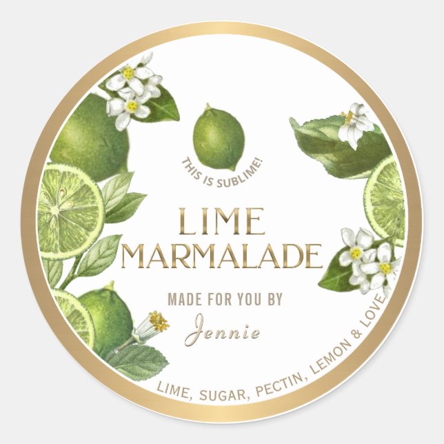 Witty Logo Design Elegant Lime Marmalade Classic Round Sticker (Front)