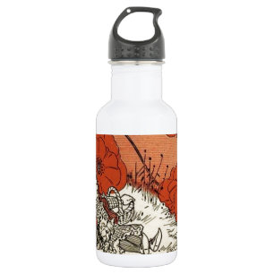 Wizard of Oz 532 Ml Water Bottle