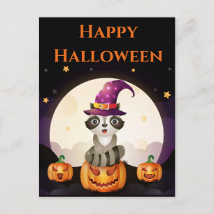 Wizard Racoon Postcard