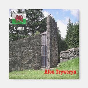 WLS019 AFON TRYWERYN, Wales, Europe, Fridge Magnet