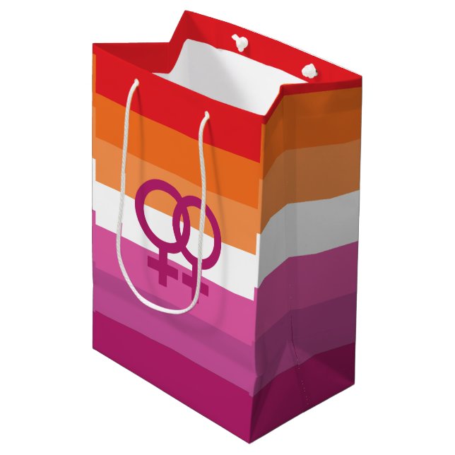 WLW Lesbian Pride Flag Medium Gift Bag (Front Angled)