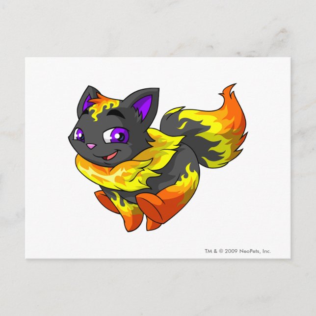 Wocky Fire Postcard (Front)