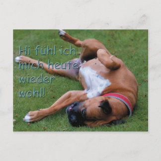 Wohlfühlboxer Postcard