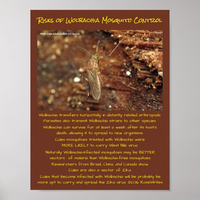 Wolbachia Mosquito Control Risks by RoseWrites Poster (Front)