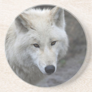 Wolf 001 coaster
