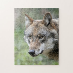 Wolf 001 jigsaw puzzle