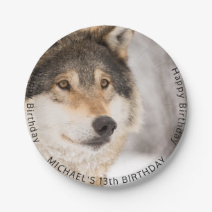 Wolf 13th birthday party teen boy paper plate