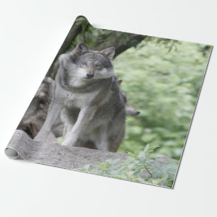 Wolf 14AJ Wrapping Paper