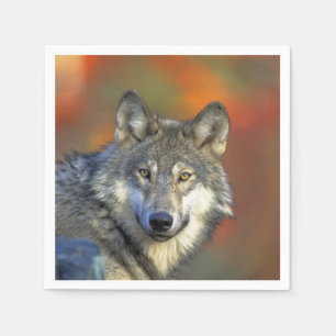 Wolf_2015_0301 Napkin