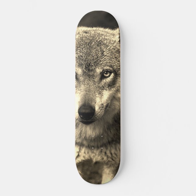 Wolf 215 skateboard (Front)
