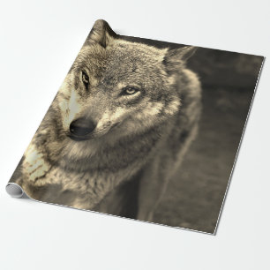 Wolf 215 wrapping paper