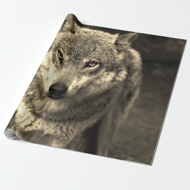 Wolf 215 wrapping paper (Unrolled)