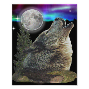Wolf and Moon Photo Print