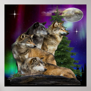 wolf and moon poster