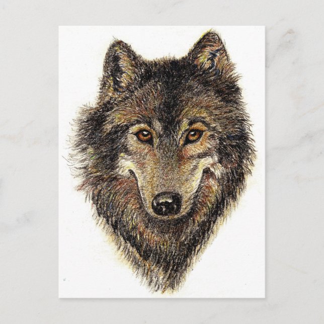Wolf and Pack Quote - Animal Collection Postcard (Front)