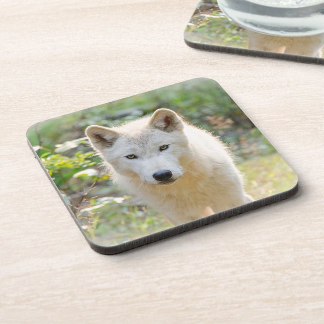 Wolf Animal Art, Canadian Wildlife Coaster (Left Side)