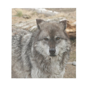 wolf animal face eyes canine forest zoo park notepad