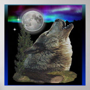 Wolf at night poster