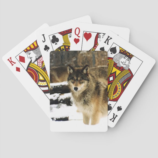 Wolf Bicycle Playing Cards (Back)