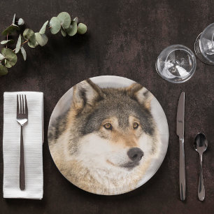 Wolf birthday boy paper plate