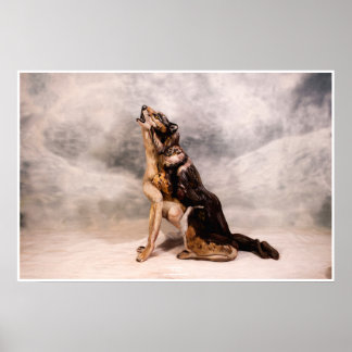 Wolf Bodypainting Illusion Poster