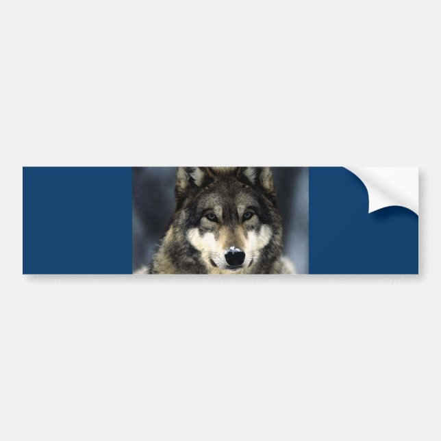 Wolf Bumper Sticker (Front)