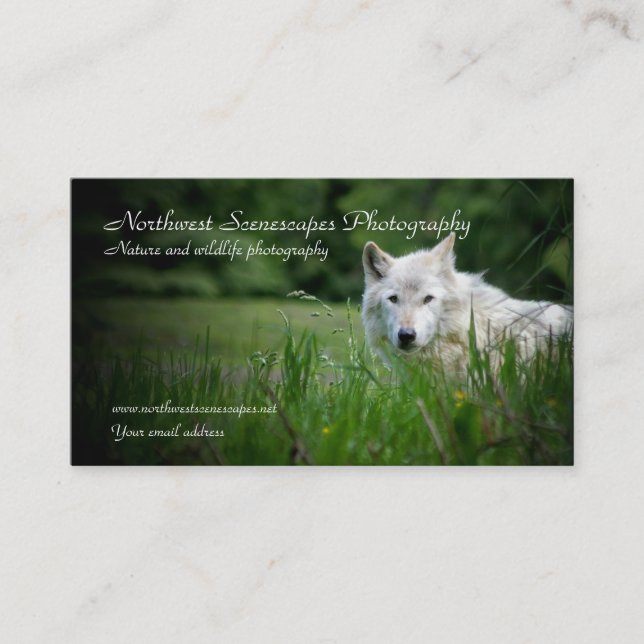 Wolf business card (Front)