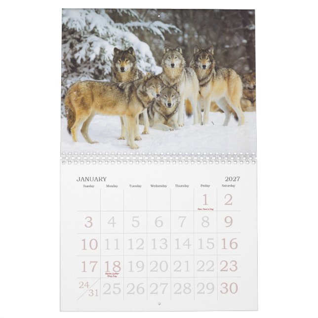 Wolf Calender Calendar (Jan 2027)