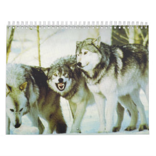 Wolf Calender Calendar