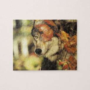 Wolf (Canis lupus)   Autumn Colour Jigsaw Puzzle