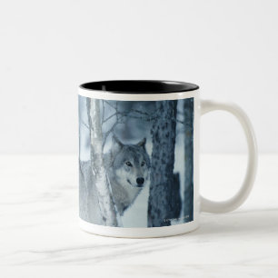Wolf (Canis lupus) during Winter Two-Tone Coffee Mug