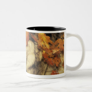 Wolf (Canis lupus), headshot, with Autumn colour, Two-Tone Coffee Mug