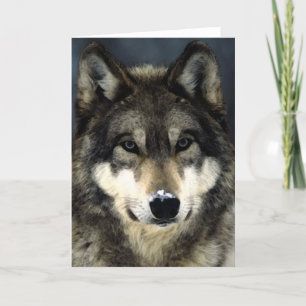 Wolf Card