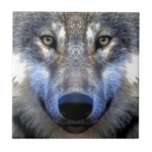 Wolf Ceramic Tile
